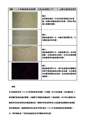 檢驗報告-台灣虎牌|居家生技品牌公司，除菌靈，空間除菌，除菌，防霉用品，鞋櫃防霉除霉，爆冷袋，防霉除霉，除臭，衣服發霉防霉